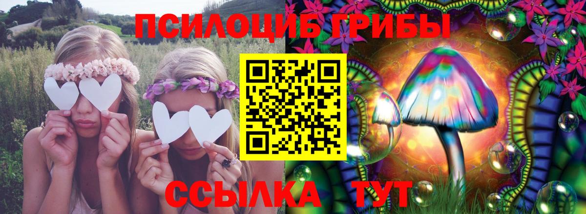 Псилоцибиновые грибы Cubensis Гусев